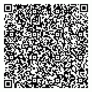 vCard 78025002500