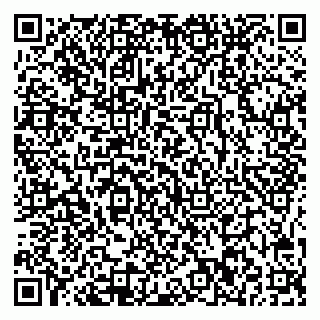 vCard 78025002633
