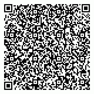 vCard 78025002853