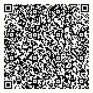 vCard 78025002899