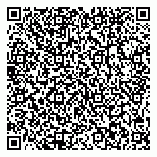 vCard 78025002933