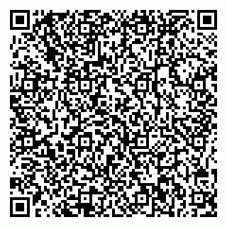 vCard 78025002985