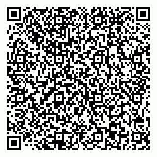 vCard 78025003019