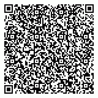 vCard 78025003077