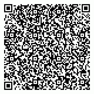 vCard 78025003161