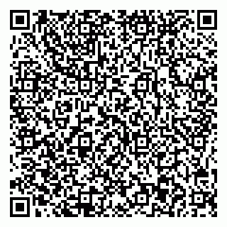 vCard 78025003730