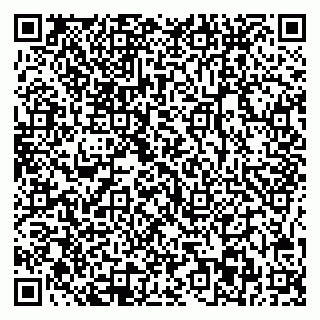vCard 78025003839
