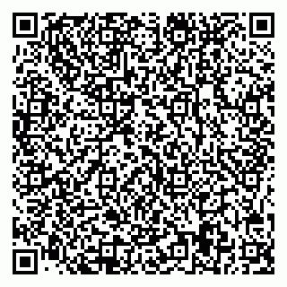 vCard 78025009039