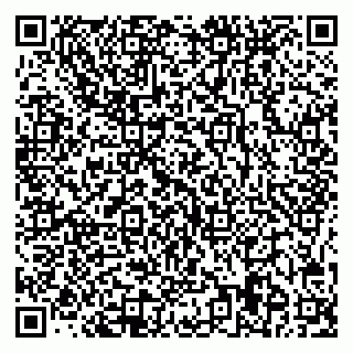 vCard 78025009739