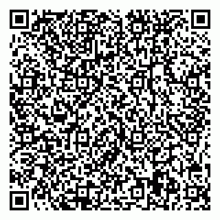 vCard 78025009939