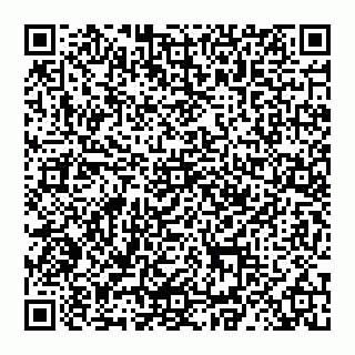 vCard 78027400119