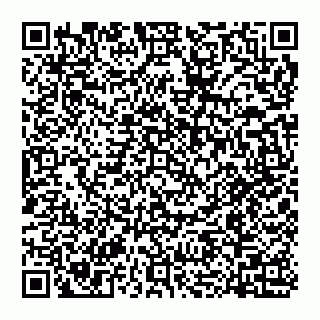 vCard 78027400162