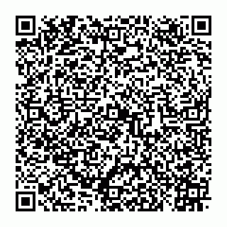 vCard 78027400199