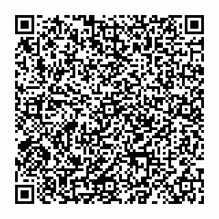 vCard 78027400217