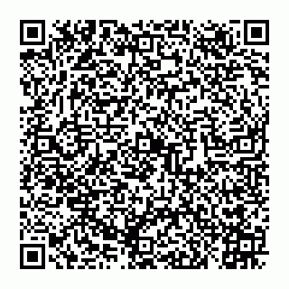 vCard 78027400290