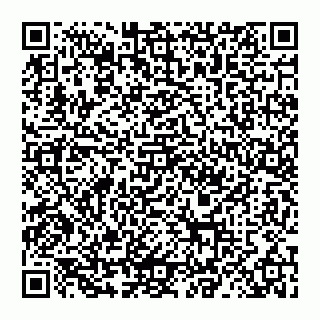 vCard 78027400311