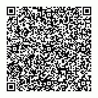 vCard 78027400317