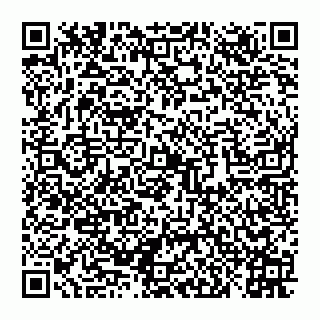 vCard 78027400333