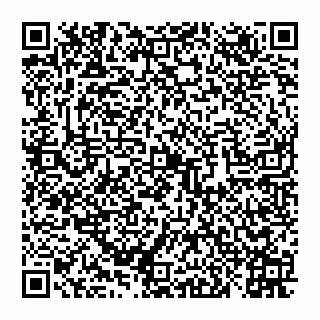 vCard 78027400383