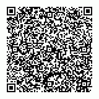vCard 78027400385
