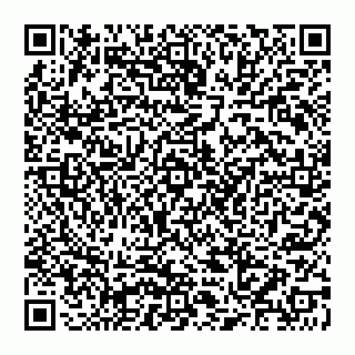 vCard 78027400387