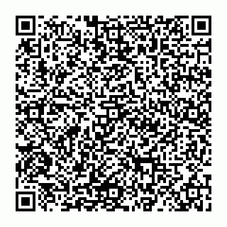 vCard 78027400395