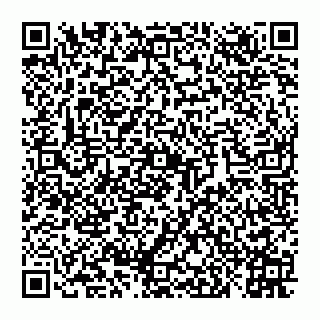 vCard 78027400399