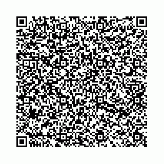 vCard 78031000173