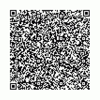 vCard 78031000201