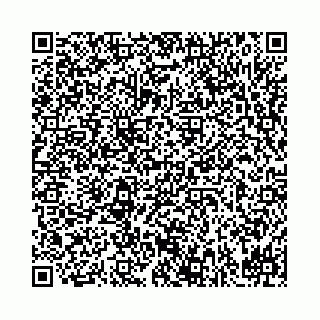vCard 78031000539