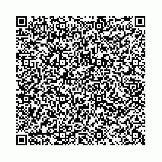 vCard 78031000739