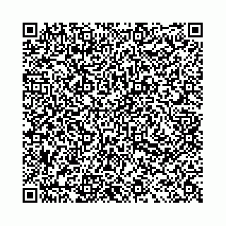 vCard 78031000976