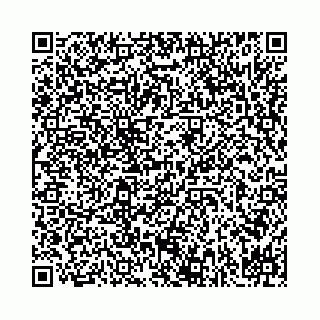 vCard 78031001003