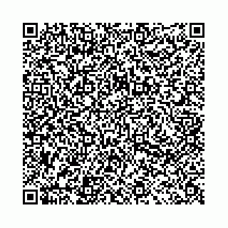 vCard 78031001004
