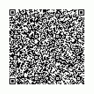 vCard 78031001013