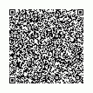 vCard 78031001017