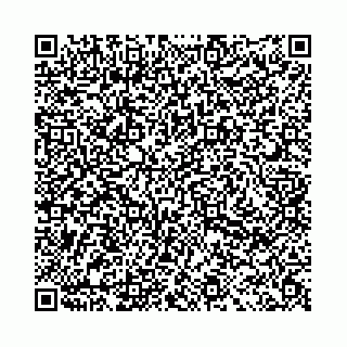 vCard 78031001027