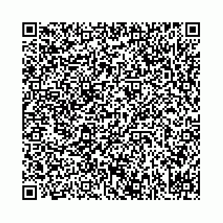 vCard 78031001069