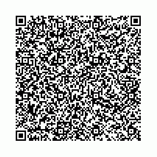vCard 78031001291