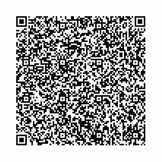 vCard 78031001371