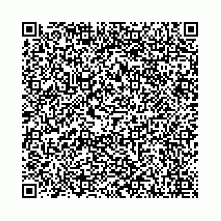 vCard 78031001608