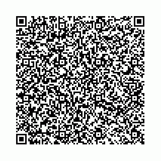 vCard 78031001685