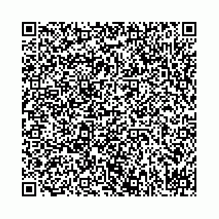 vCard 78031001745