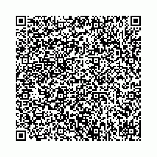 vCard 78031001808