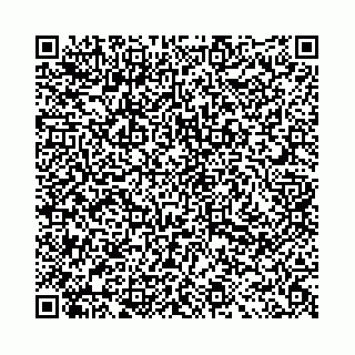 vCard 78031001817