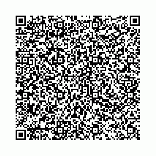 vCard 78031001827