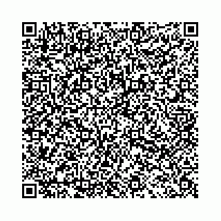 vCard 78031001883