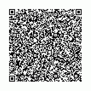 vCard 78031001897