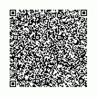 vCard 78031001908
