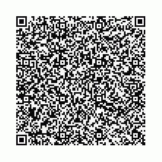 vCard 78031001909